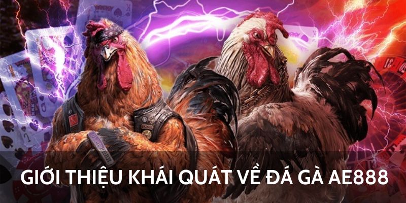 Ae888 Khám Phá Thế Giới Giải Trí Trực Tuyến Đa Dạng - Cơ Hội & Thách Thức